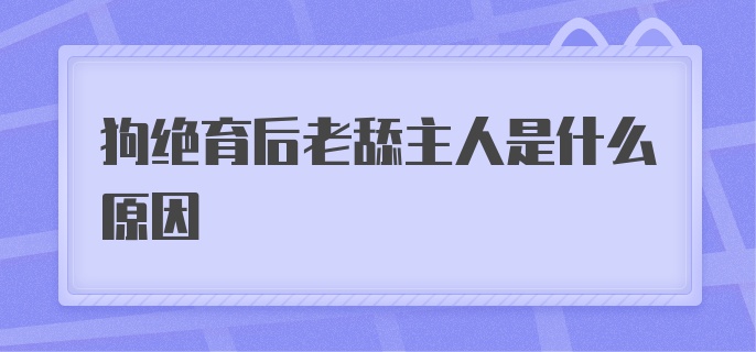 狗绝育后老舔主人是什么原因