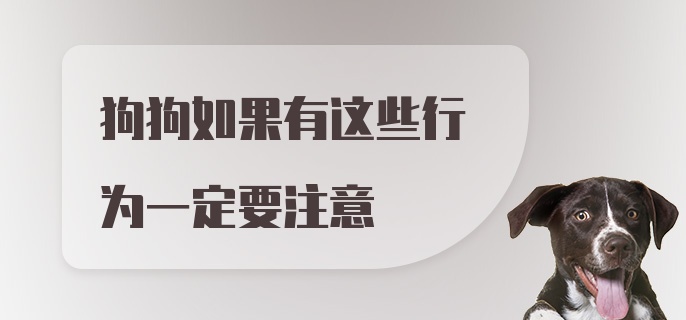 狗狗如果有这些行为一定要注意