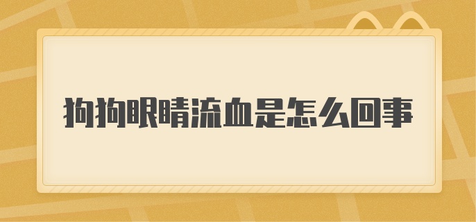 狗狗眼睛流血是怎么回事