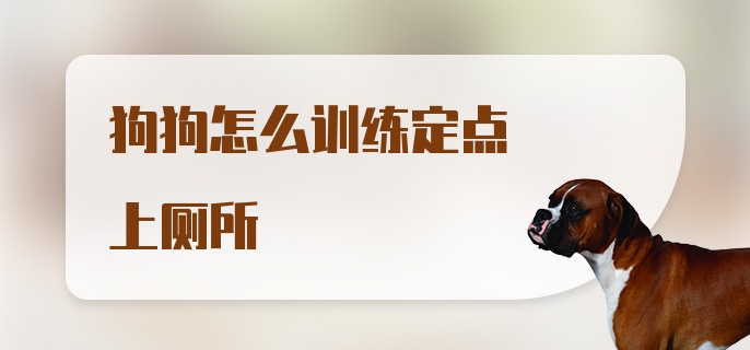 狗狗怎么训练定点上厕所