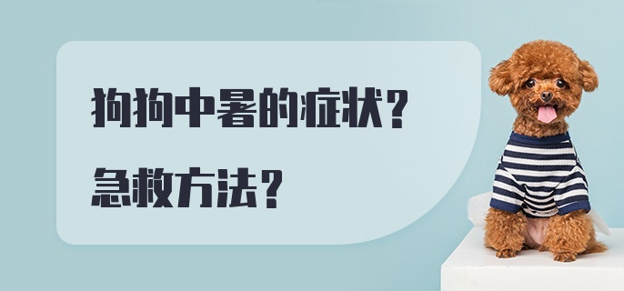 狗狗中暑的症状？急救方法？