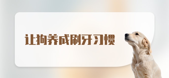 让狗养成刷牙习惯