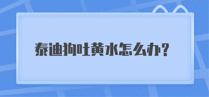 泰迪狗吐黄水怎么办?