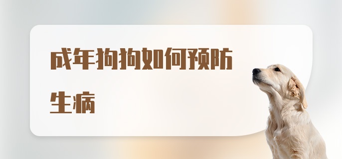 成年狗狗如何预防生病