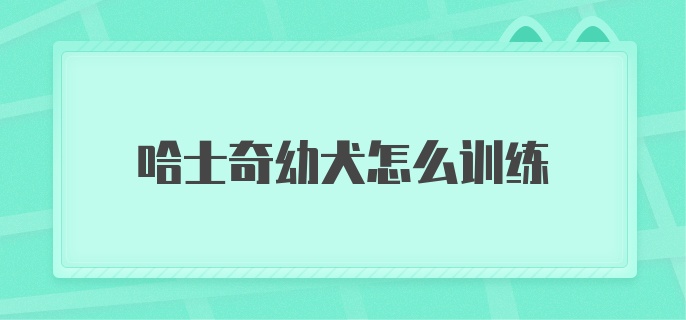 哈士奇幼犬怎么训练