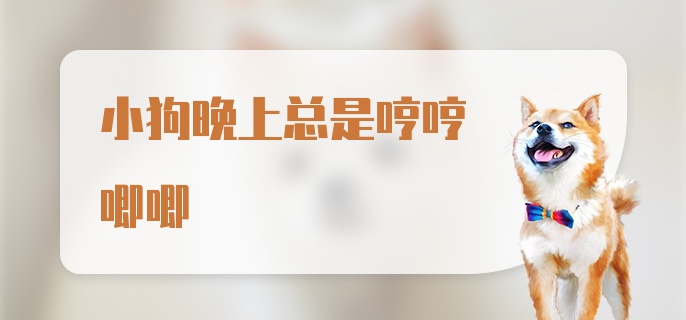 小狗晚上总是哼哼唧唧