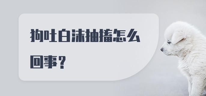 狗吐白沫抽搐怎么回事？