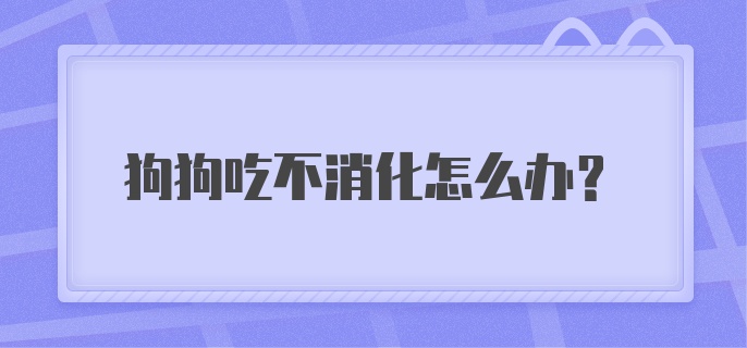 狗狗吃不消化怎么办？