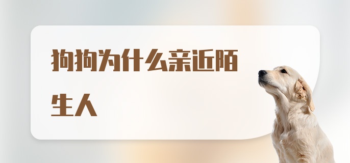 狗狗为什么亲近陌生人