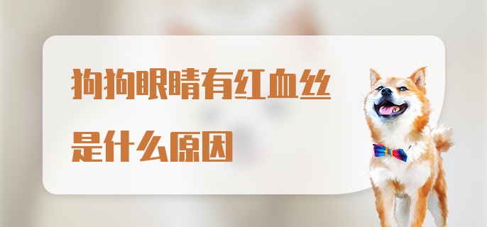 狗狗眼睛有红血丝是什么原因