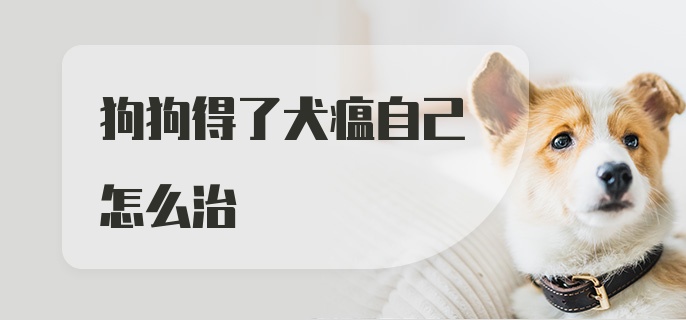 狗狗得了犬瘟自己怎么治