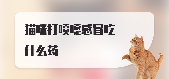 猫咪打喷嚏感冒吃什么药