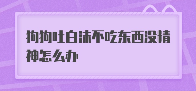 狗狗吐白沫不吃东西没精神怎么办