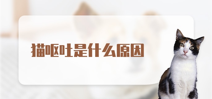 猫呕吐是什么原因