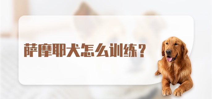 萨摩耶犬怎么训练？