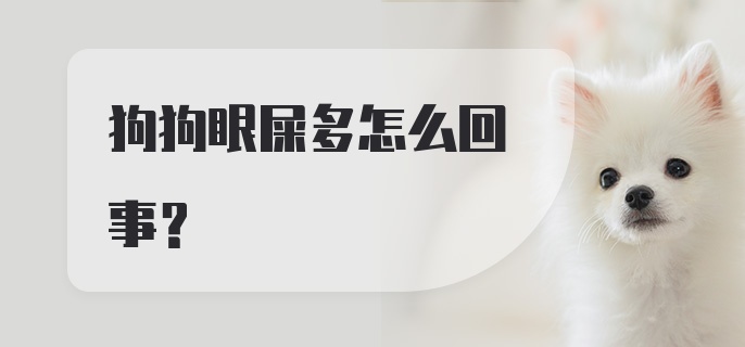 狗狗眼屎多怎么回事？