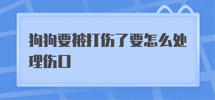 狗狗要被打伤了要怎么处理伤口