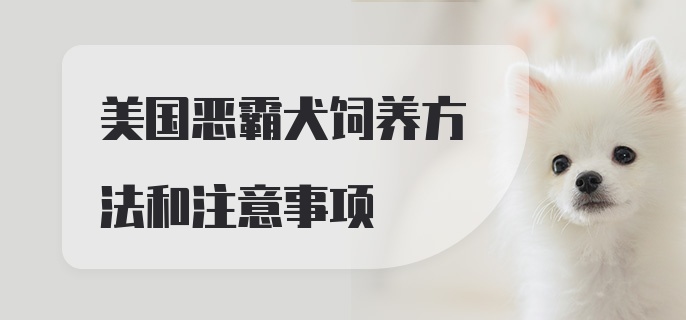 美国恶霸犬饲养方法和注意事项