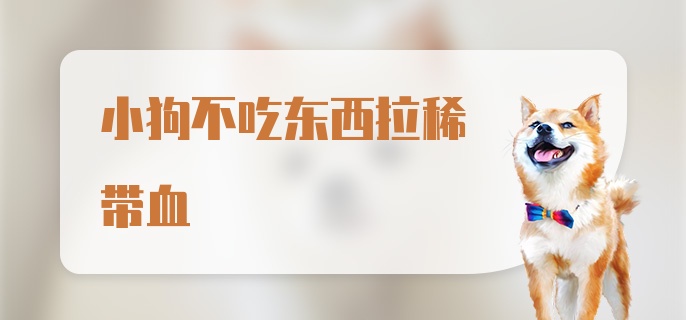 小狗不吃东西拉稀带血