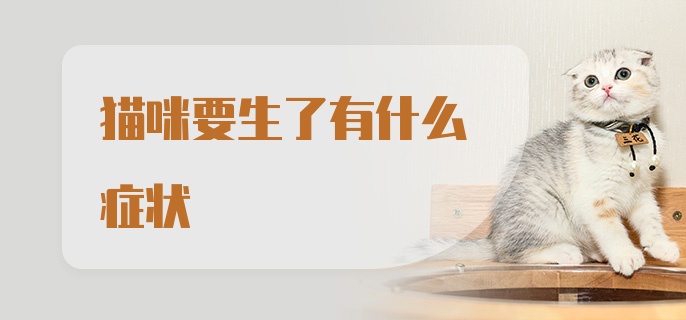 猫咪要生了有什么症状