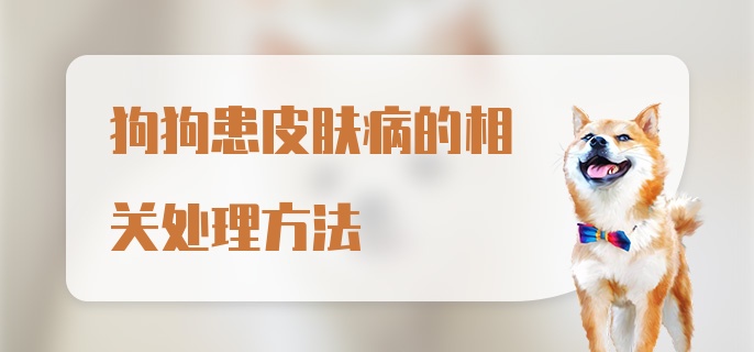 狗狗患皮肤病的相关处理方法