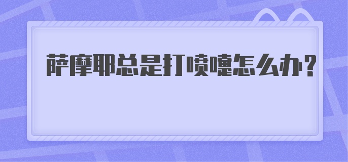 萨摩耶总是打喷嚏怎么办？