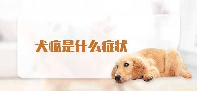 犬瘟是什么症状