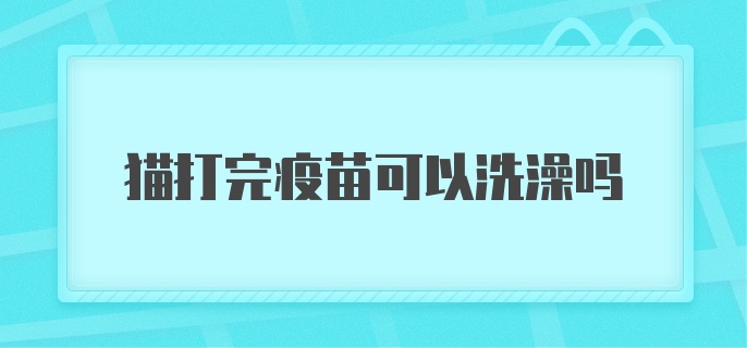 猫打完疫苗可以洗澡吗