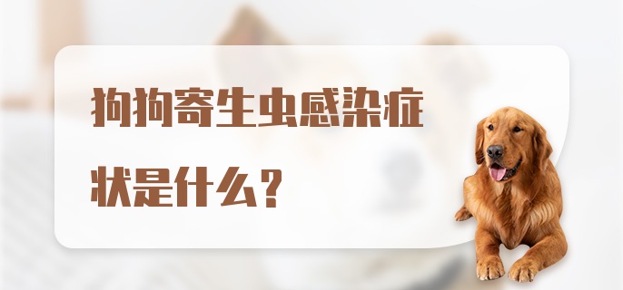 狗狗寄生虫感染症状是什么？