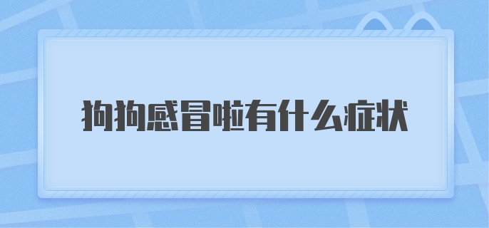 狗狗感冒啦有什么症状