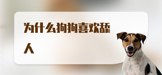 为什么狗狗喜欢舔人