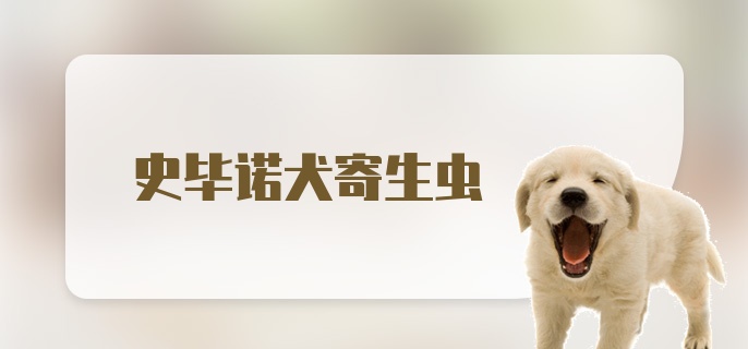 史毕诺犬寄生虫