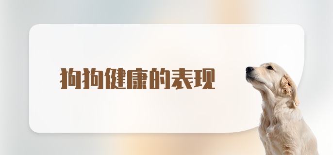 狗狗健康的表现