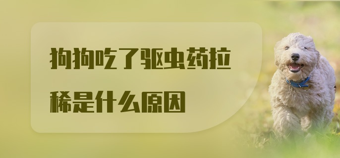 狗狗吃了驱虫药拉稀是什么原因