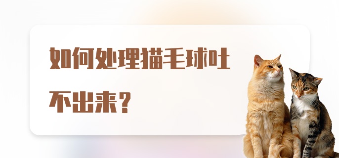 如何处理猫毛球吐不出来？