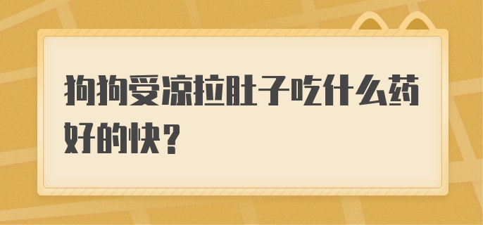 狗狗受凉拉肚子吃什么药好的快？