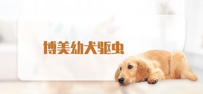 博美幼犬驱虫