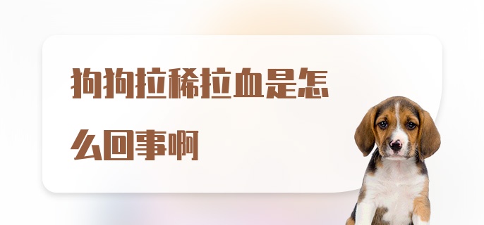 狗狗拉稀拉血是怎么回事啊