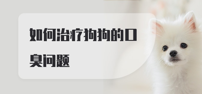 如何治疗狗狗的口臭问题