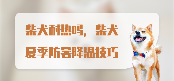 柴犬耐热吗，柴犬夏季防暑降温技巧