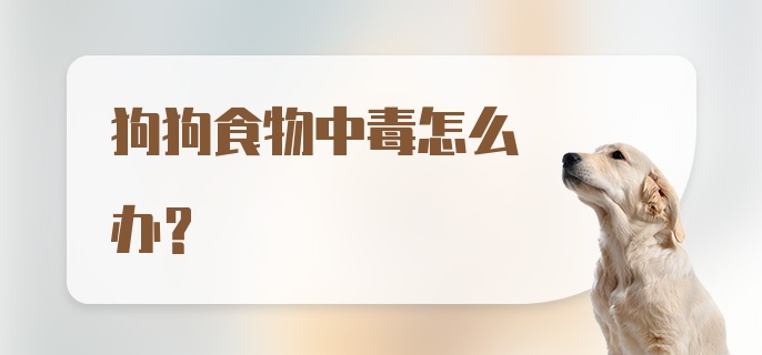 狗狗食物中毒怎么办?