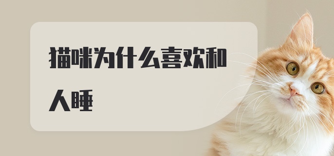 猫咪为什么喜欢和人睡