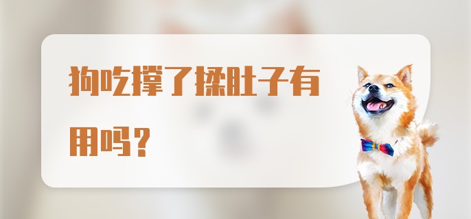 狗吃撑了揉肚子有用吗？