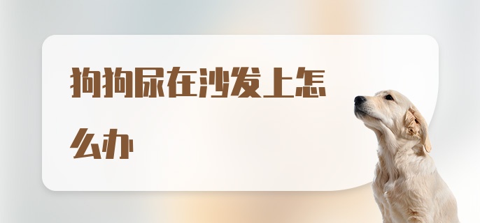 狗狗尿在沙发上怎么办