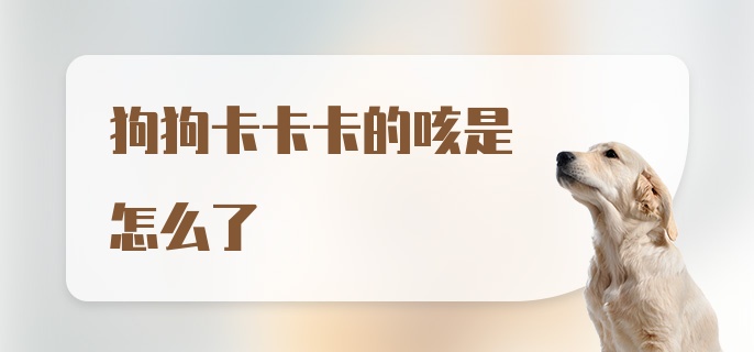 狗狗卡卡卡的咳是怎么了