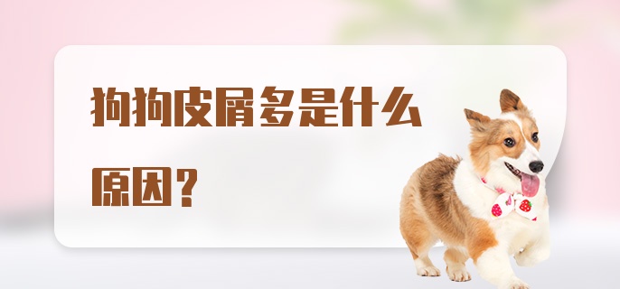 狗狗皮屑多是什么原因?