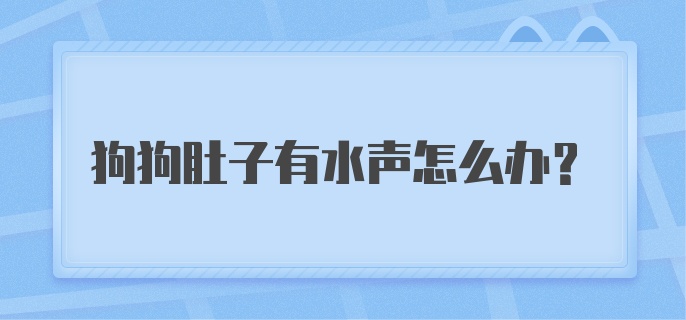 狗狗肚子有水声怎么办？