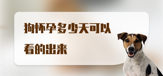 狗怀孕多少天可以看的出来