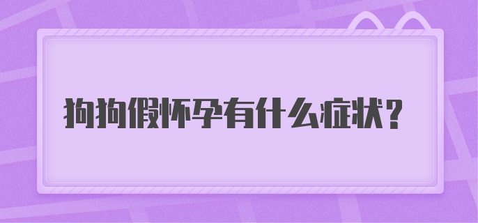 狗狗假怀孕有什么症状？