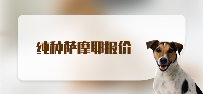 纯种萨摩耶报价